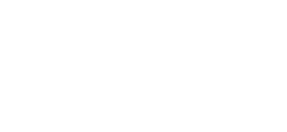 Socialdemokratiet tekst og rose-logo 